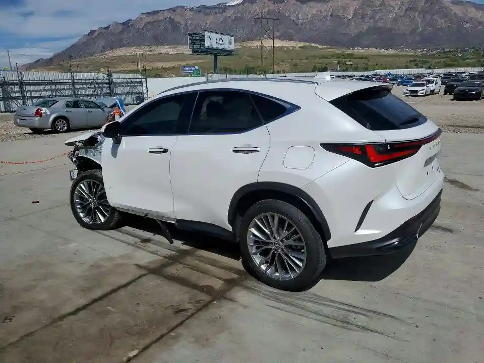 2T2HGCEZ5NC010216 2022 LEXUS NX-1