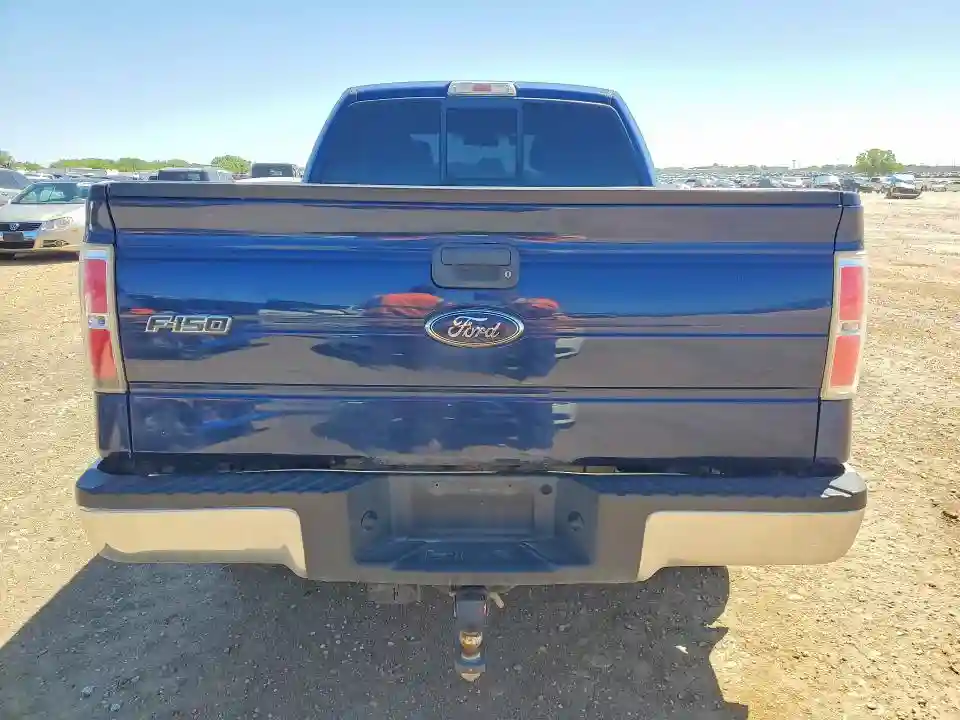 1FTEX1E89AFD59528 2010 FORD F-150-5