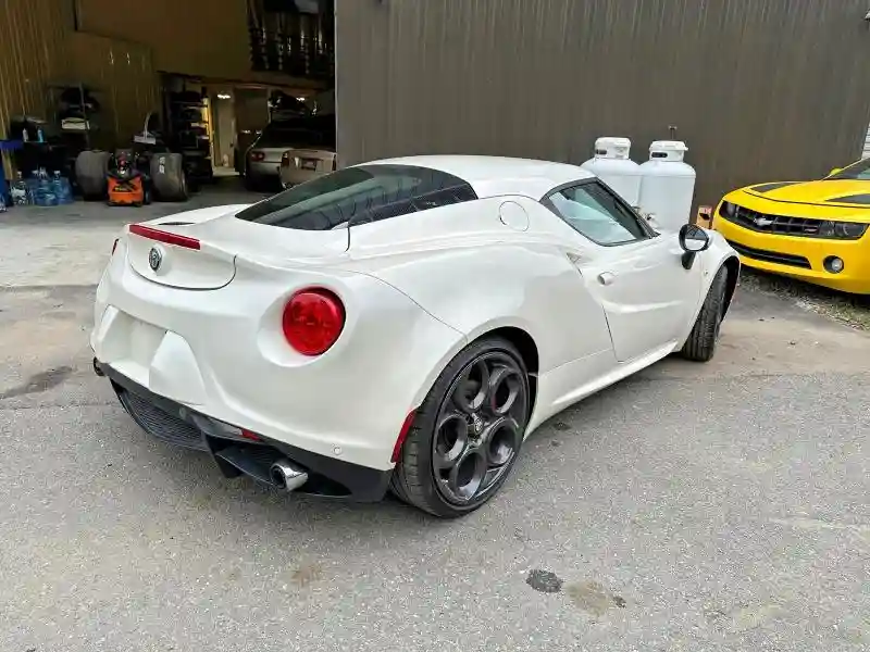 ZARBAAA41GM177436 2016 ALFA ROMEO 4C-3