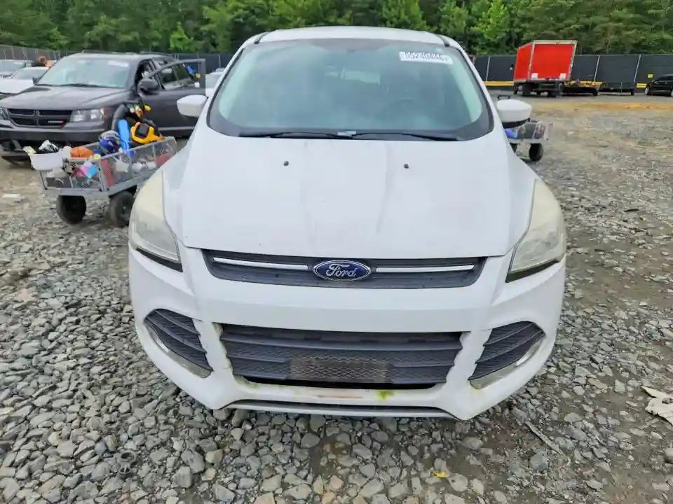 1FMCU0GX5EUC69384 2014 FORD ESCAPE-4