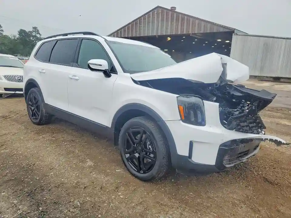 5XYP5DGC4SG637820 2025 KIA TELLURIDE-3