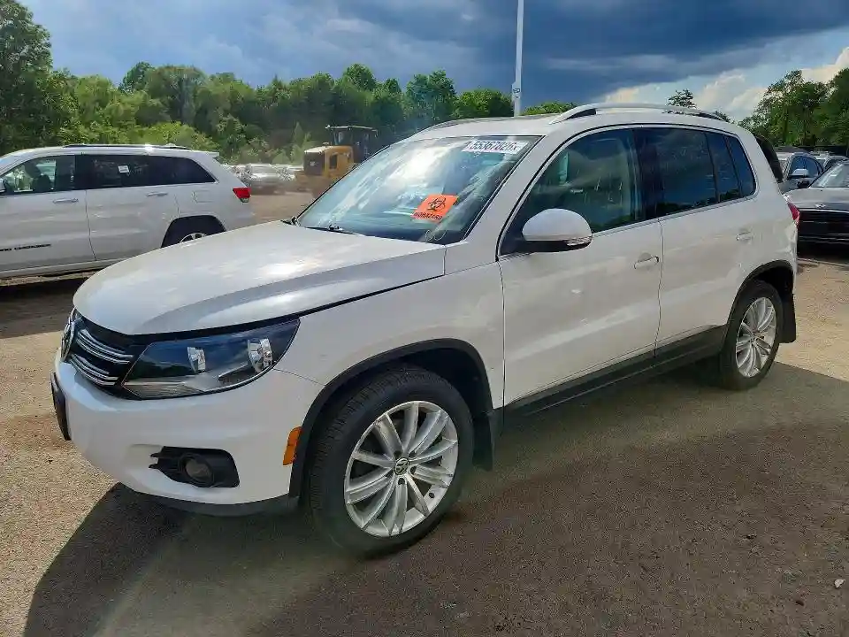 WVGBV3AX9DW619444 2013 VOLKSWAGEN TIGUAN-0