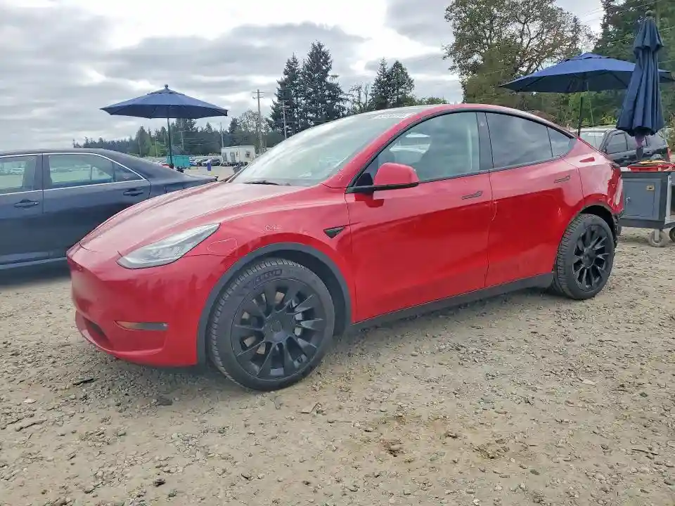 5YJYGAEE0MF217094 2021 TESLA MODEL Y-0