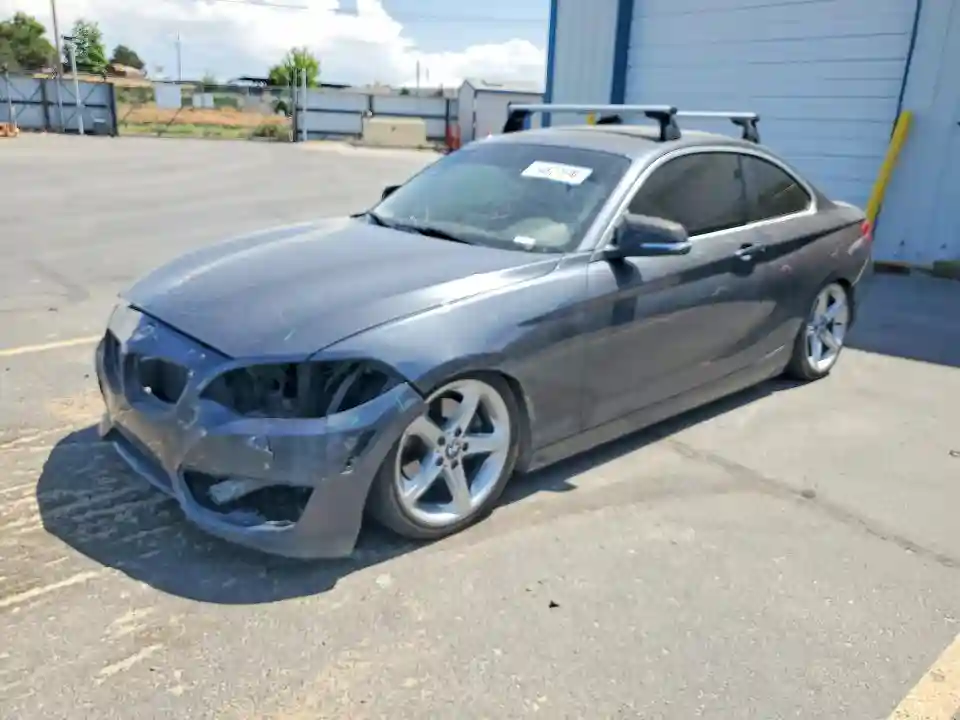 WBA1F9C5XFVW98429 2015 BMW 2 SERIES-0