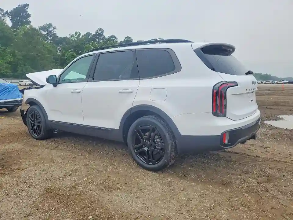 5XYP5DGC4SG637820 2025 KIA TELLURIDE-1