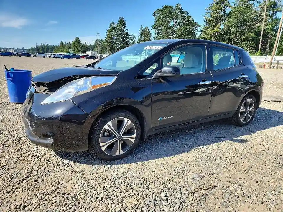 1N4BZ0CP2GC308180 2016 NISSAN LEAF-0