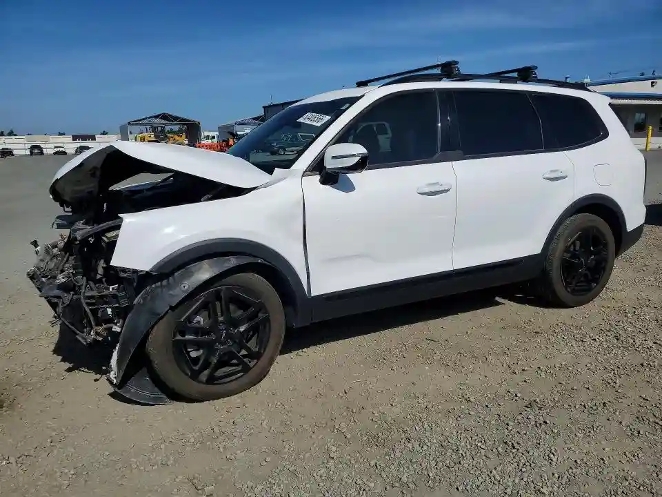 5XYP5DGCXRG541801 2024 KIA TELLURIDE-0
