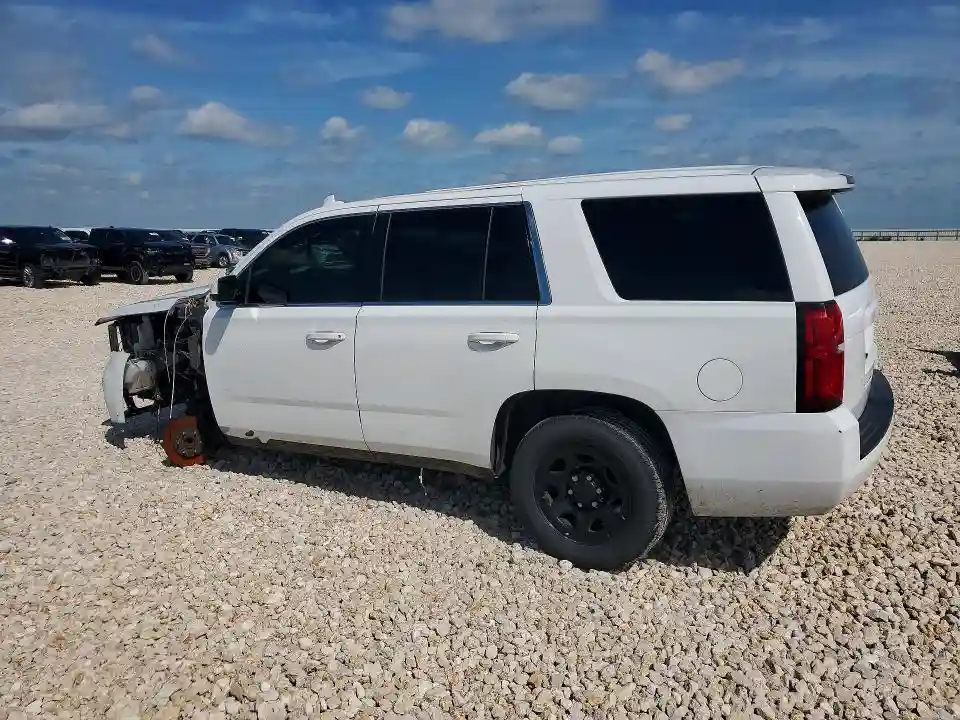 1GNLCDECXLR289247 2020 CHEVROLET TAHOE-1
