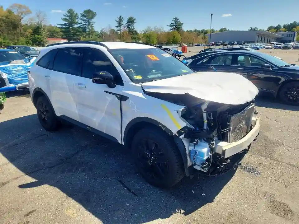 5XYRLDLC4MG004192 2021 KIA SORENTO-3