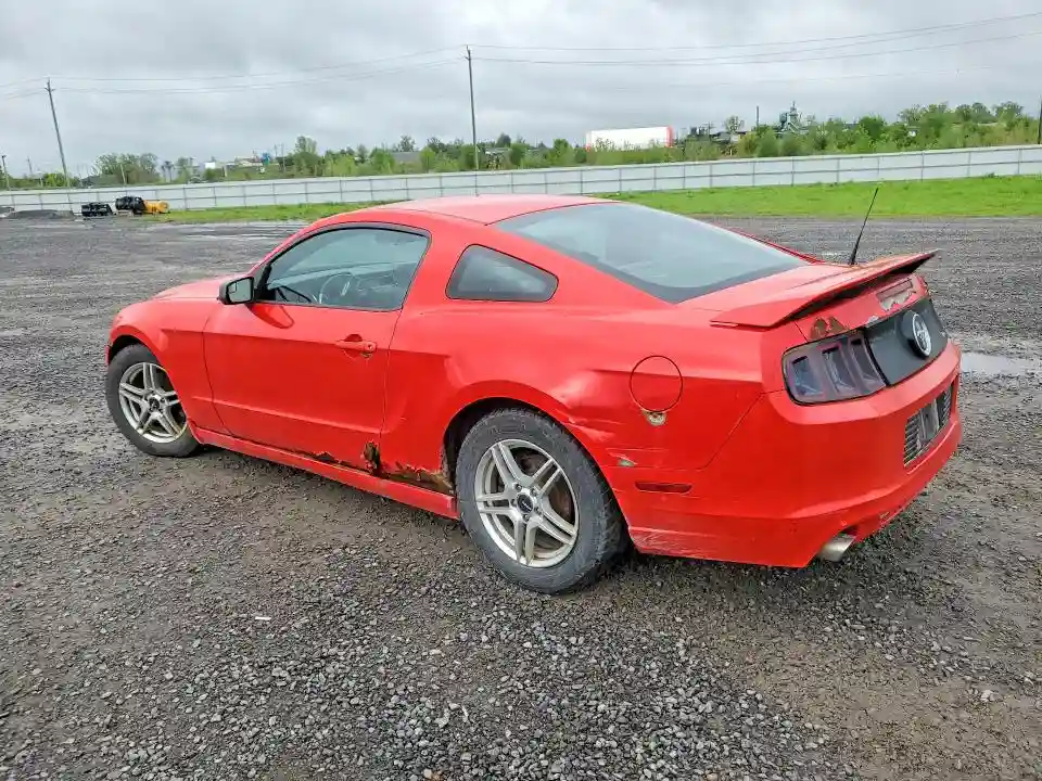 1ZVBP8AM8E5244250 2014 FORD MUSTANG-1