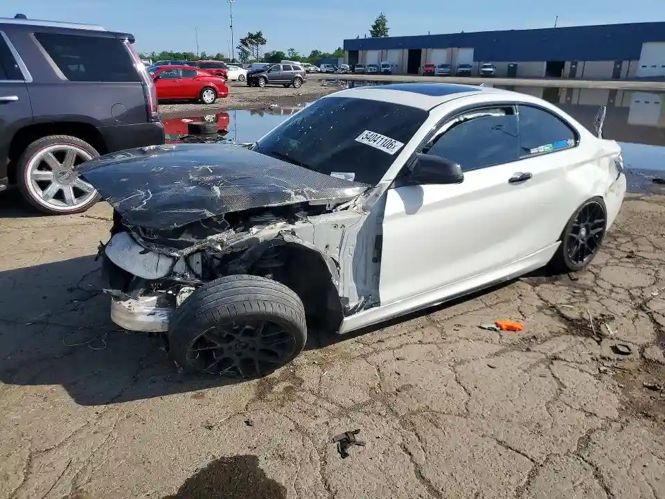 WBA1J9C50FVX98800 2015 BMW M2-0
