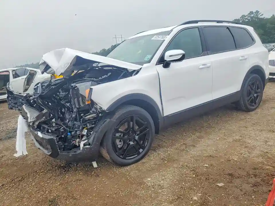 5XYP5DGC4SG637820 2025 KIA TELLURIDE-0