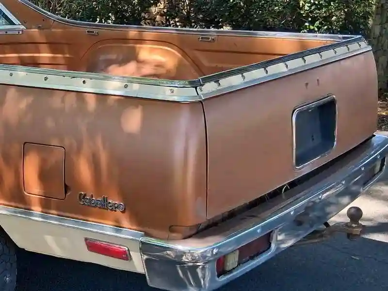 5W80L8D501218 1978 GMC CABALLERO-5
