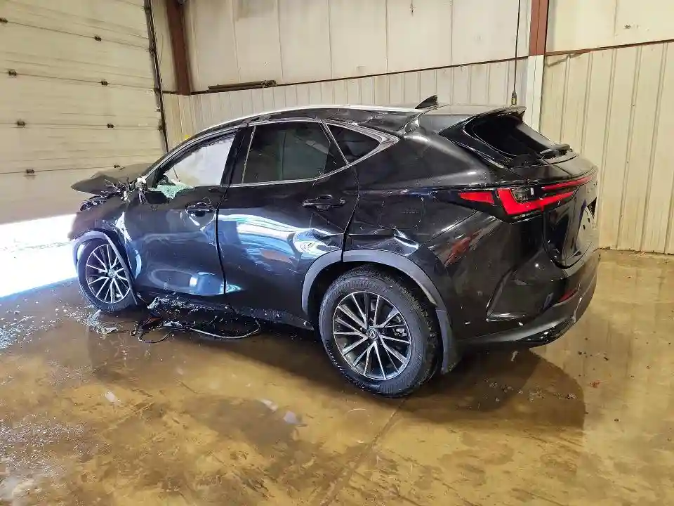 2T2AGCEZ1RC038456 2024 LEXUS NX-1
