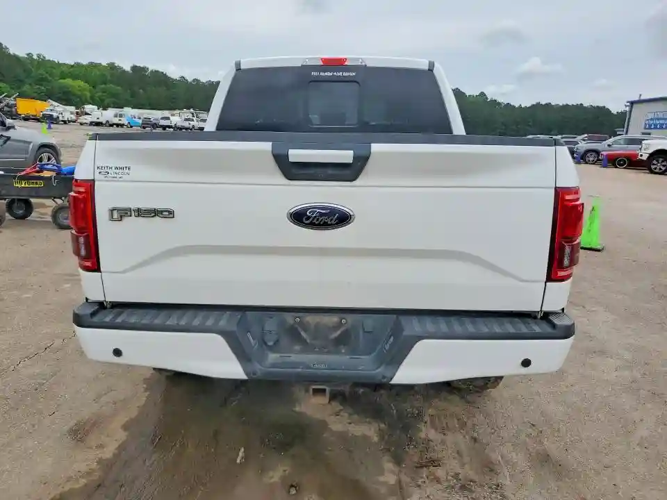 1FTEW1EG2HFB20925 2017 FORD F150-5