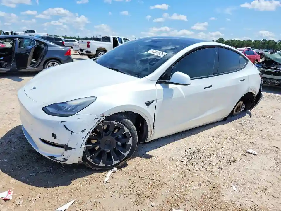 5YJYGDEE8MF201369 2021 TESLA MODEL Y-0