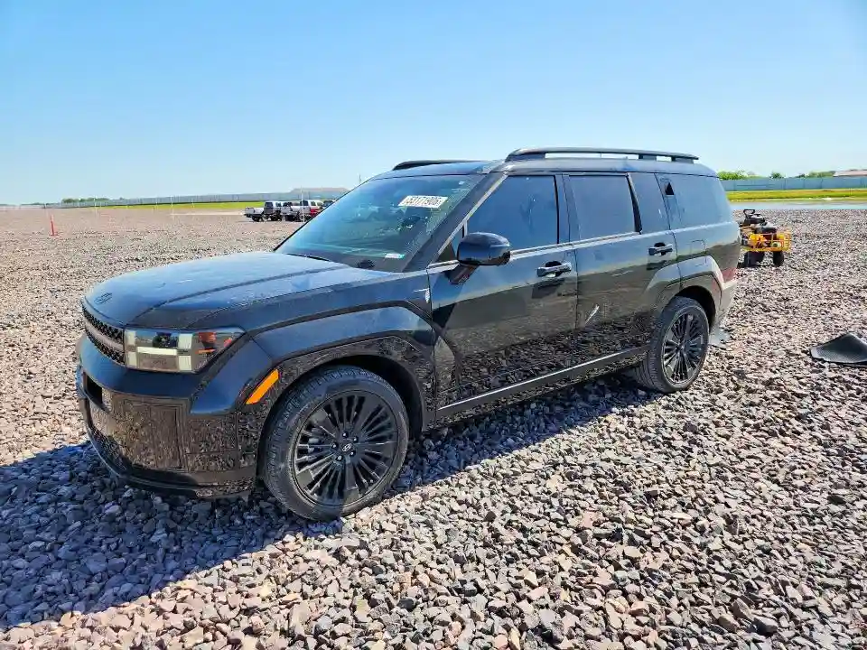 5NMP5DG17RH009412 2024 HYUNDAI SANTA FE-0