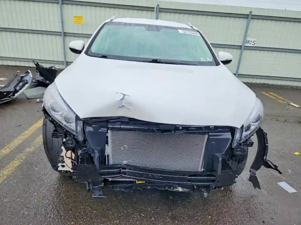 5XYPGDA54HG302425 2017 KIA SORENTO-4
