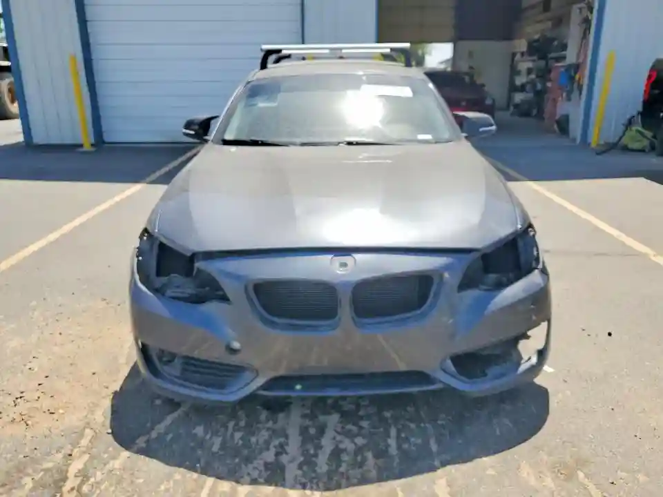 WBA1F9C5XFVW98429 2015 BMW 2 SERIES-4