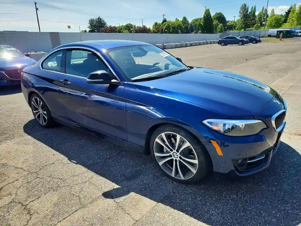 WBA1F9C5XFVW98799 2015 BMW 2 SERIES-3