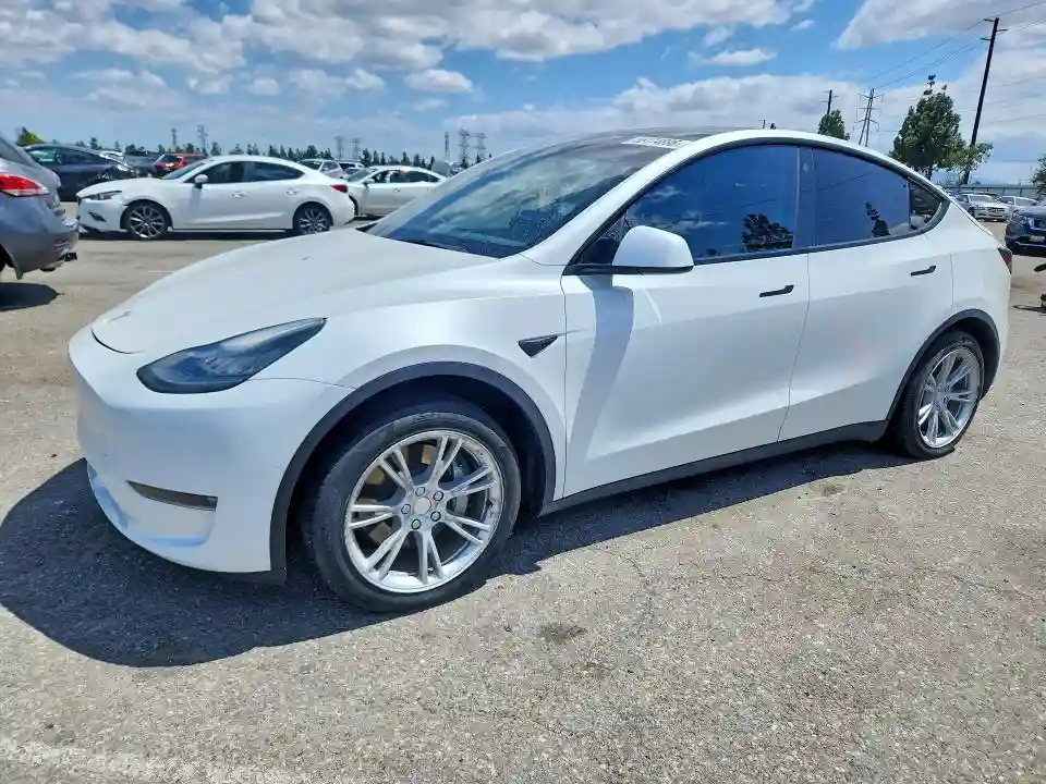 5YJYGDEE7MF194334 2021 TESLA MODEL Y-0