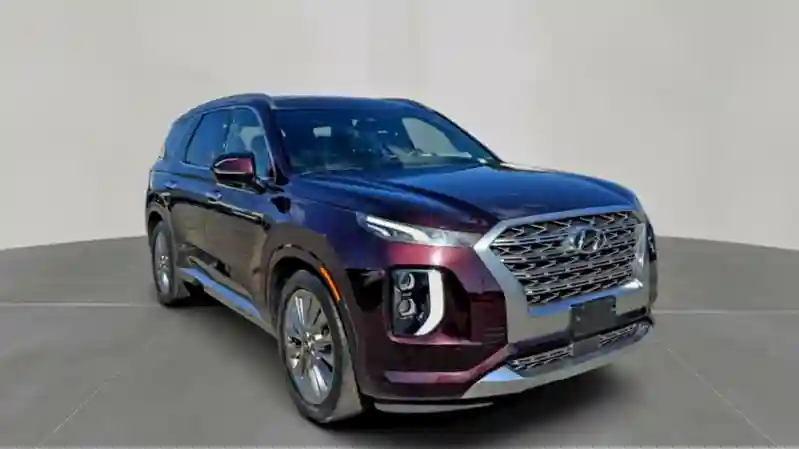 KM8R5DHE5LU071297 2020 HYUNDAI PALISADE-0