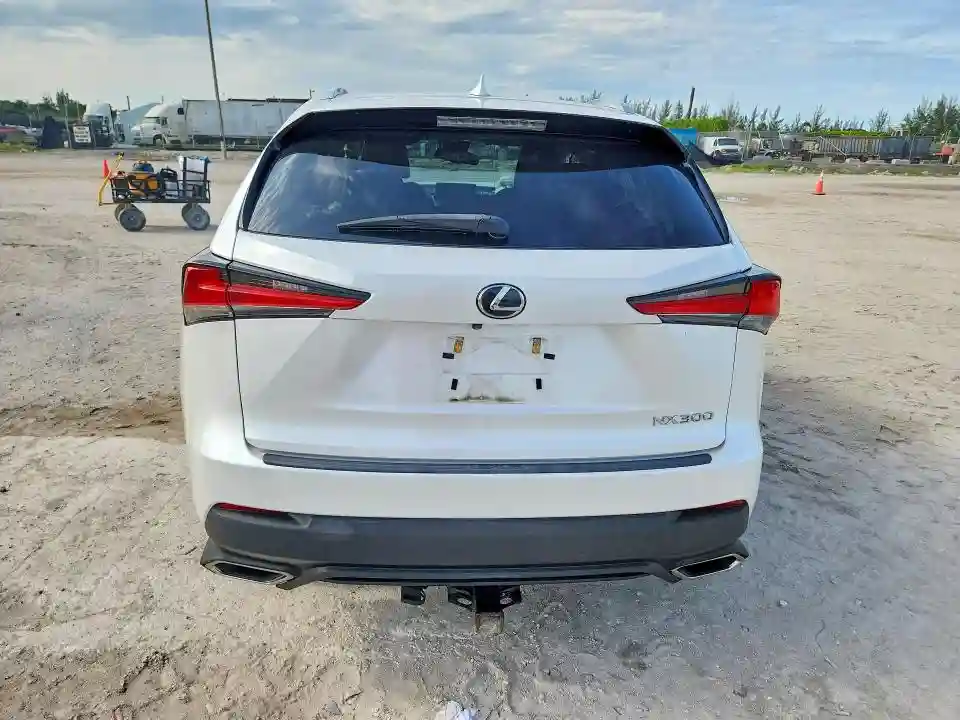JTJYARBZ7K2120933 2019 LEXUS NX-5
