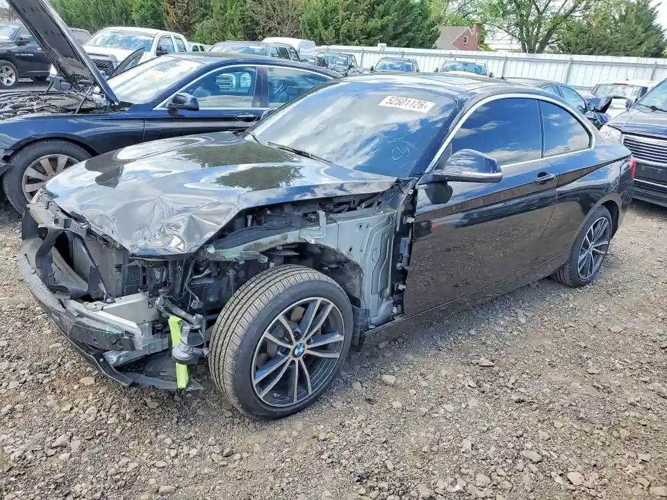 WBA2J3C5XJVA49855 2018 BMW 2 SERIES-0