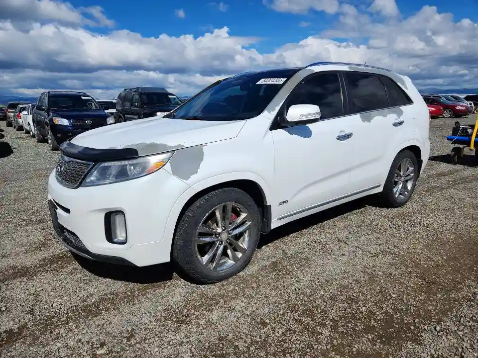 5XYKWDA75EG488079 2014 KIA SORENTO-0