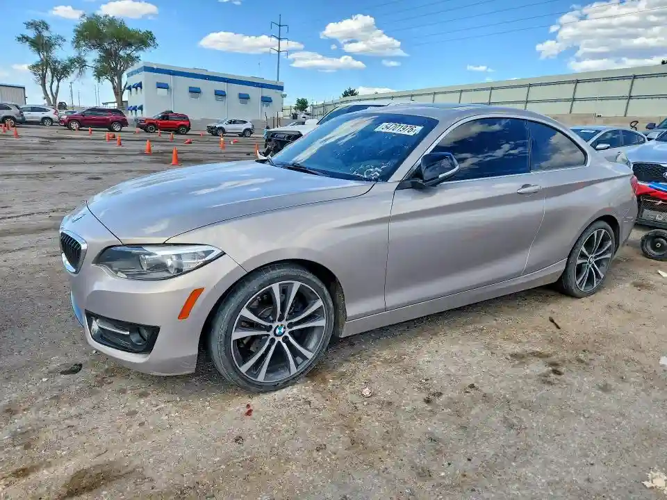 WBA1F5C52FV256818 2015 BMW 2 SERIES-0