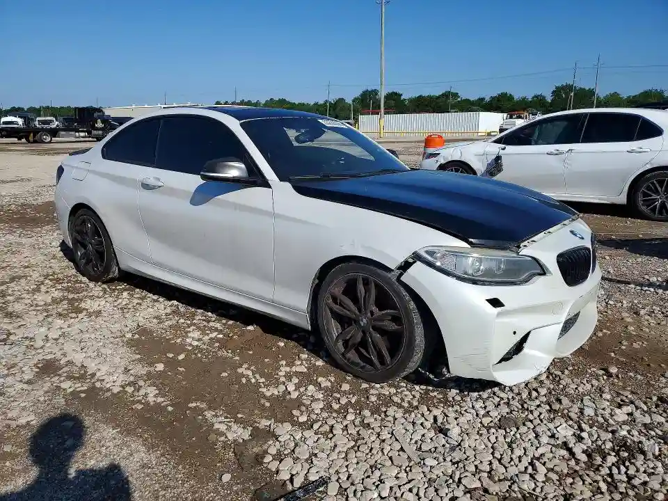 WBA1J7C58FV253805 2015 BMW M2-3