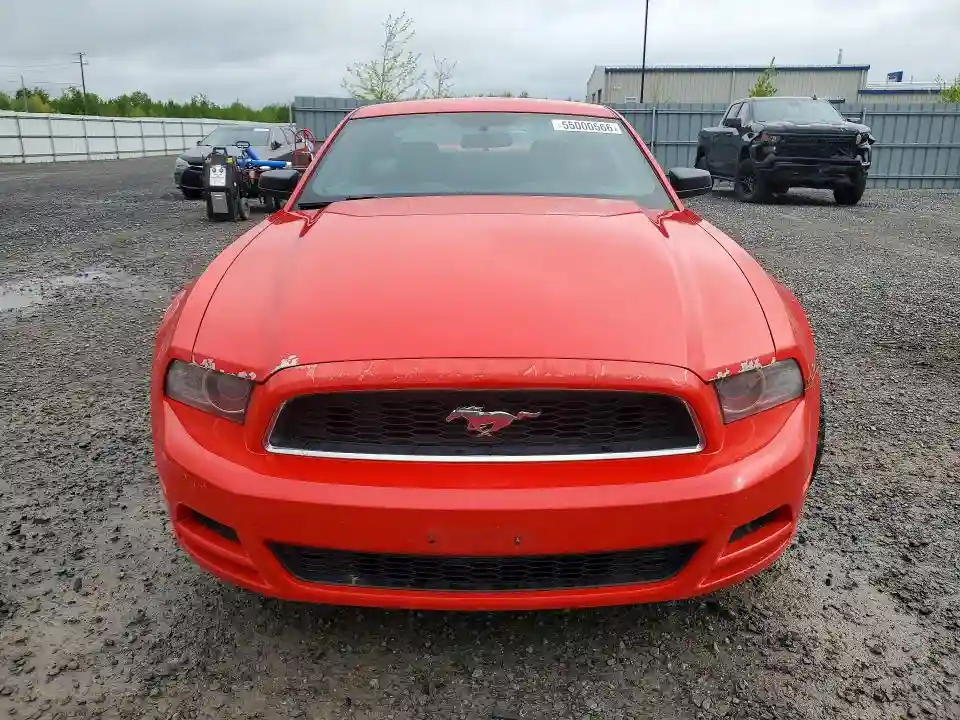 1ZVBP8AM8E5244250 2014 FORD MUSTANG-4