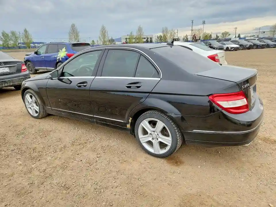 WDDGF8FB7AF417382 2010 MERCEDES-BENZ C-CLASS-1