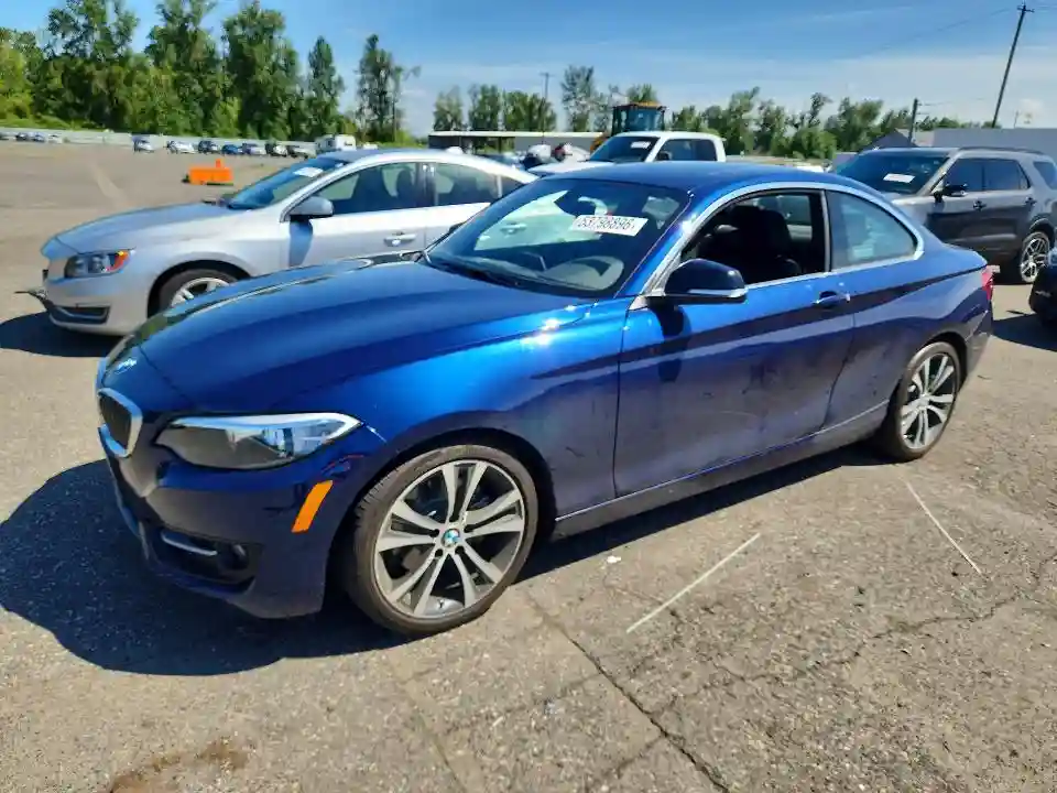 WBA1F9C5XFVW98799 2015 BMW 2 SERIES-0