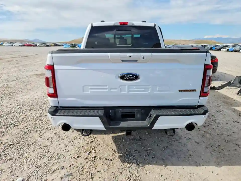 1FTEW1E81NFB36490 2022 FORD F-150-5