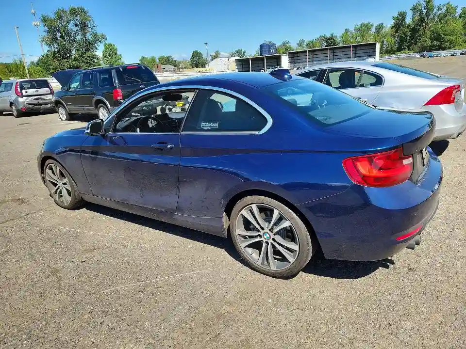 WBA1F9C5XFVW98799 2015 BMW 2 SERIES-1