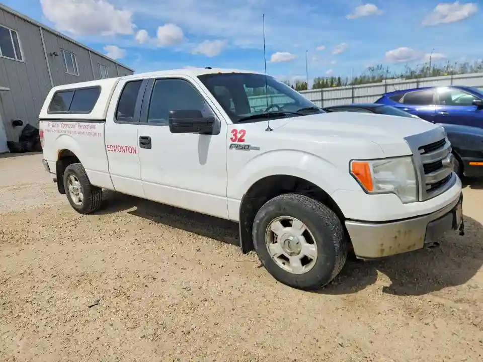 1FTFX1EF5DFA22524 2013 FORD F-150-3