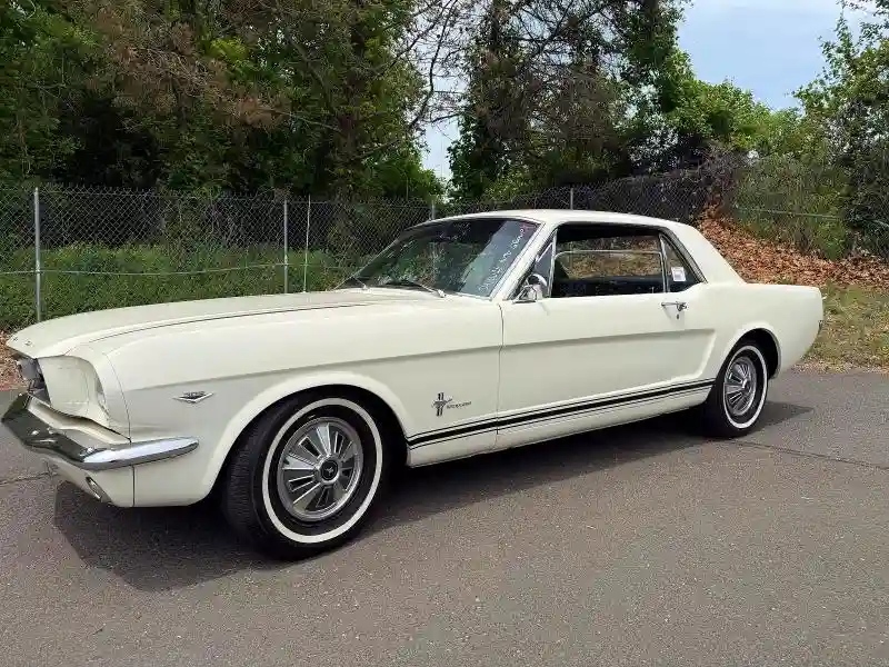 6T07C123865 1966 FORD MUSTANG-0