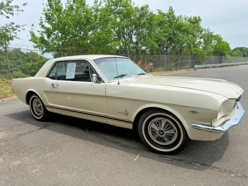 6T07C123865 1966 FORD MUSTANG-3