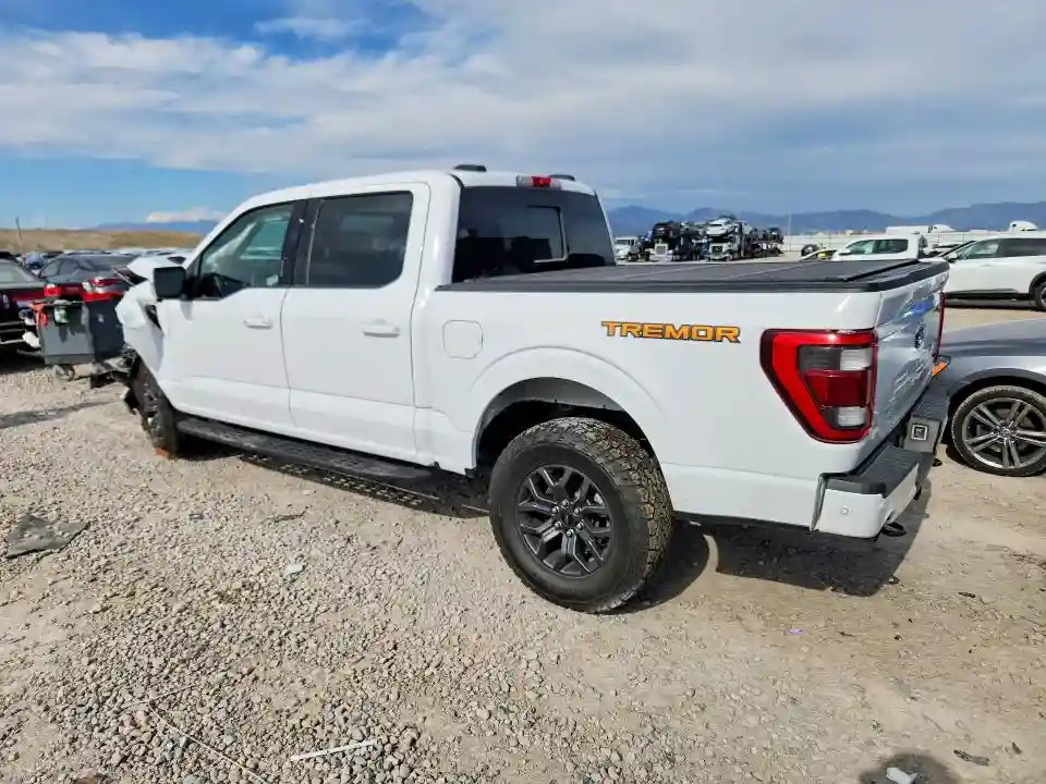 1FTEW1E81NFB36490 2022 FORD F-150-1