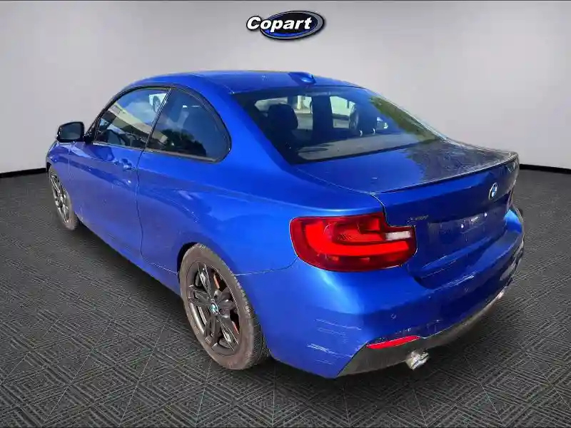 WBA1J9C53GV371709 2016 BMW M2-2