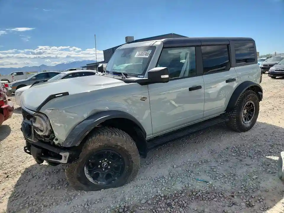 1FMEE2BP1RLA14073 2024 FORD BRONCO-0