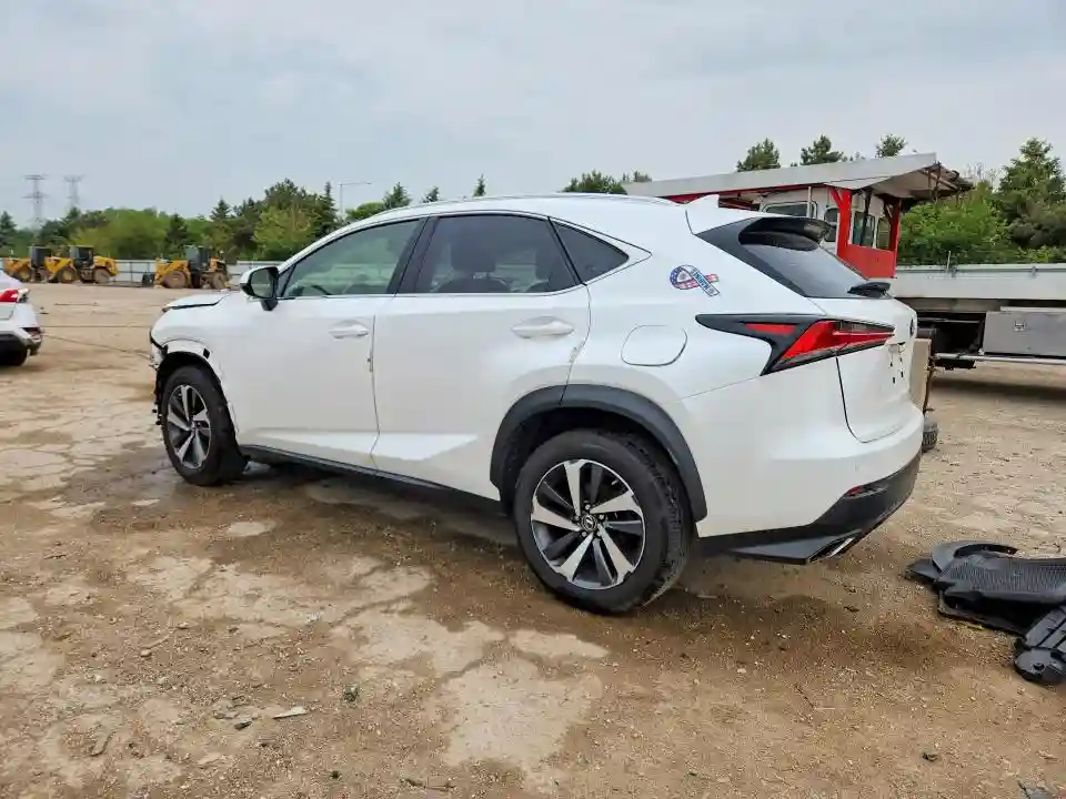 JTJBARBZ0K2188416 2019 LEXUS NX-1