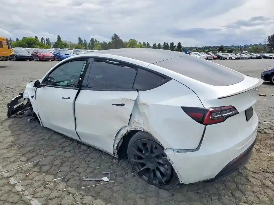5YJYGDEE5MF151868 2021 TESLA MODEL Y-1
