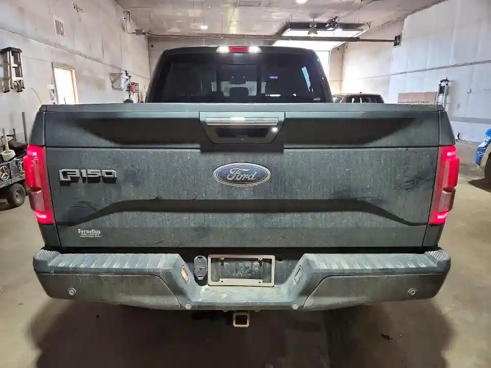 1FTEW1EG4FFB12757 2015 FORD F150-5