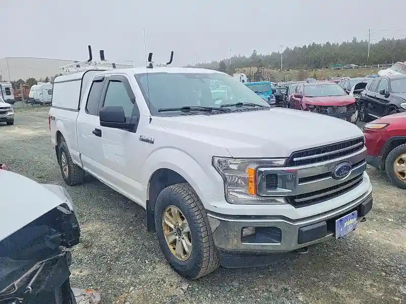 1FTFX1E46KKE00367 2019 FORD F-150-3