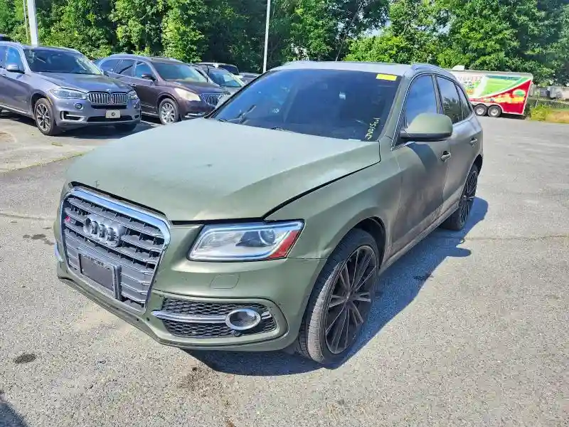 WA1CGAFP3EA085088 2014 AUDI SQ5-1