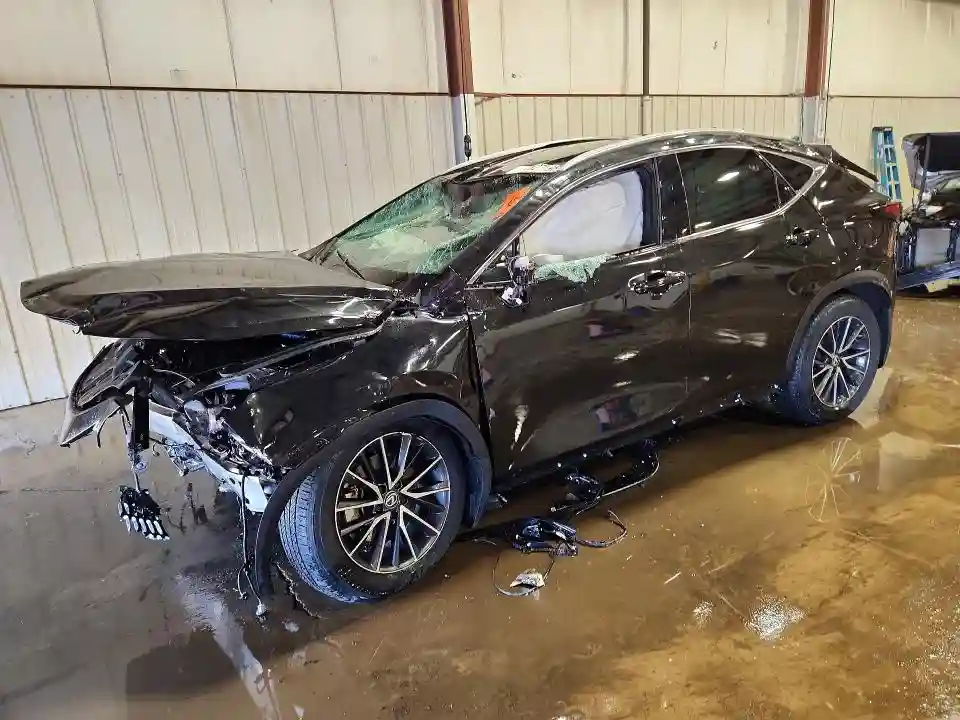 2T2AGCEZ1RC038456 2024 LEXUS NX-0
