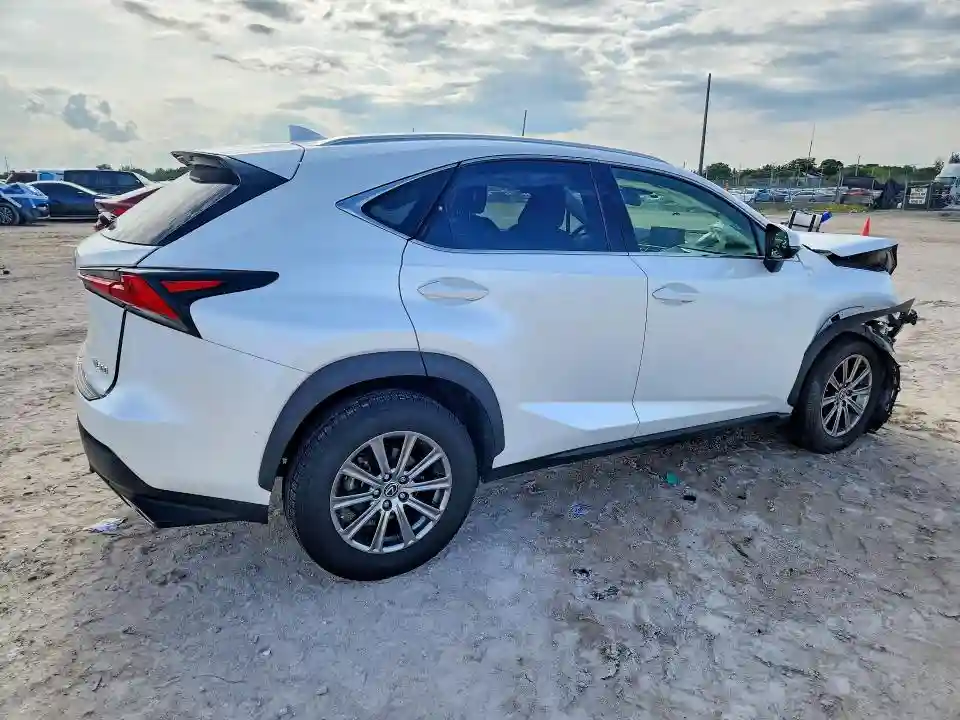 JTJYARBZ7K2120933 2019 LEXUS NX-2