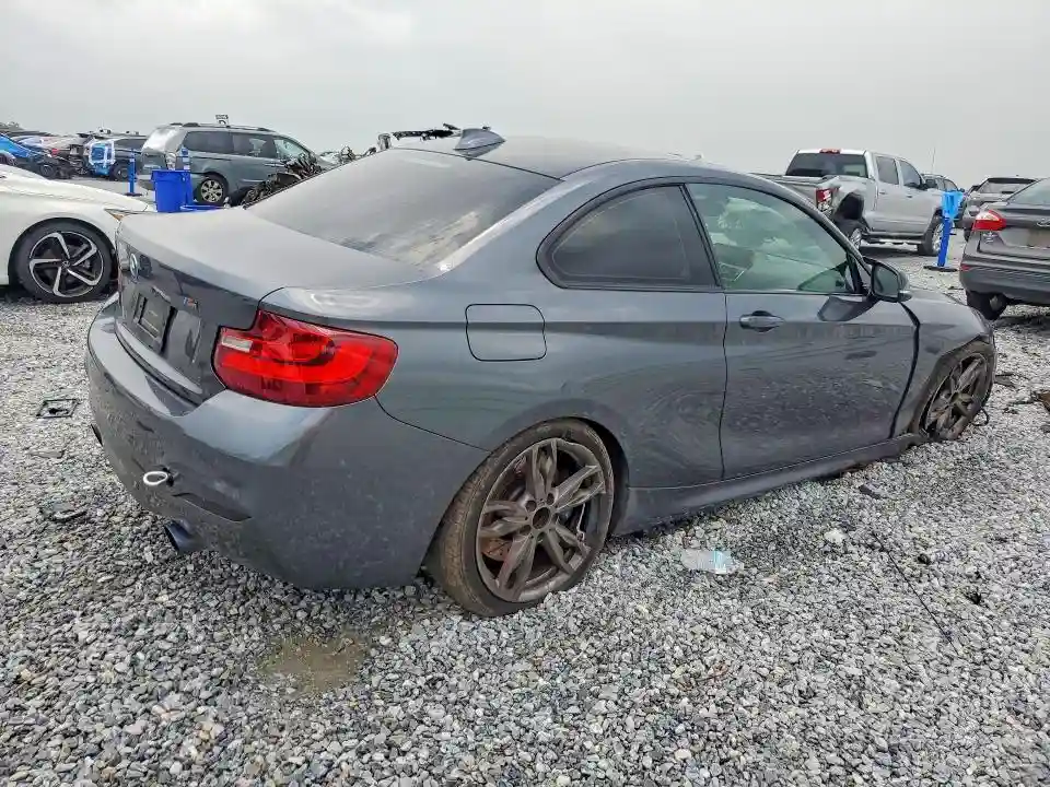 WBA1J9C59GV696185 2016 BMW M2-2